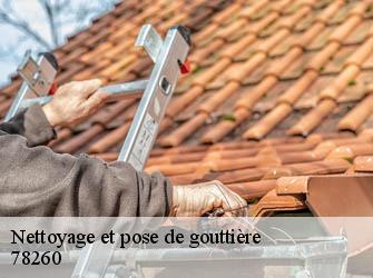 Nettoyage et pose de gouttière  78260