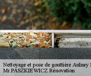 Nettoyage et pose de gouttière  aulnay-sur-mauldre-78126 Mr.PASZKIEWICZ Rénovation