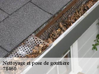 Nettoyage et pose de gouttière  78460