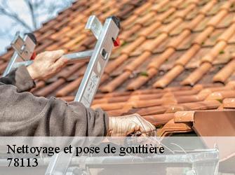 Nettoyage et pose de gouttière  78113