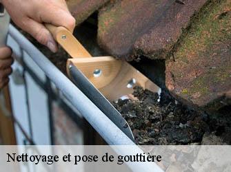 Nettoyage et pose de gouttière