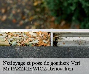 Nettoyage et pose de gouttière  vert-78930 Mr.PASZKIEWICZ Rénovation