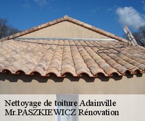 Nettoyage de toiture  adainville-78113 Mr.PASZKIEWICZ Rénovation