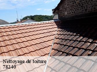 Nettoyage de toiture  78240