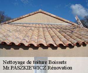 Nettoyage de toiture  boissets-78910 Mr.PASZKIEWICZ Rénovation