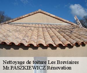 Nettoyage de toiture  les-breviaires-78610 Mr.PASZKIEWICZ Rénovation