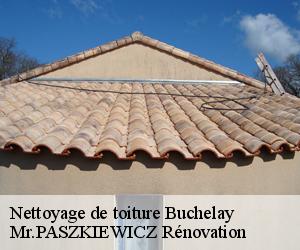 Nettoyage de toiture  buchelay-78200 Mr.PASZKIEWICZ Rénovation