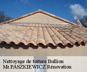 Nettoyage de toiture  bullion-78830 Mr.PASZKIEWICZ Rénovation