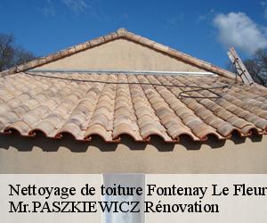 Nettoyage de toiture  fontenay-le-fleury-78330 Mr.PASZKIEWICZ Rénovation