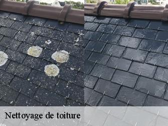 Nettoyage de toiture