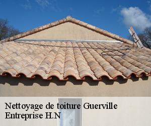 Nettoyage de toiture  guerville-78930 Entreprise H.N
