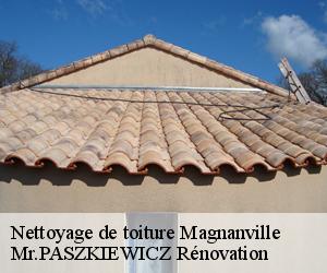 Nettoyage de toiture  magnanville-78200 Mr.PASZKIEWICZ Rénovation