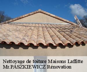 Nettoyage de toiture  maisons-laffitte-78600 Mr.PASZKIEWICZ Rénovation