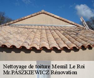 Nettoyage de toiture  mesnil-le-roi-78600 Mr.PASZKIEWICZ Rénovation