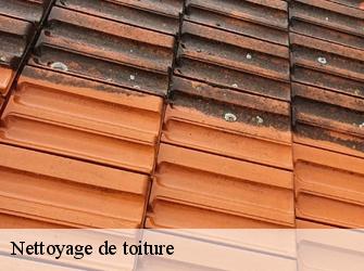 Nettoyage de toiture