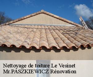 Nettoyage de toiture  le-vesinet-78110 Mr.PASZKIEWICZ Rénovation