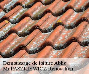 Demoussage de toiture  ablis-78660 Mr.PASZKIEWICZ Rénovation