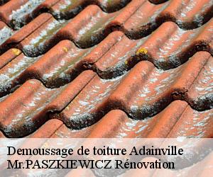 Demoussage de toiture  adainville-78113 Mr.PASZKIEWICZ Rénovation