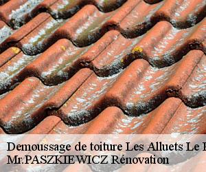 Demoussage de toiture  les-alluets-le-roi-78580 Mr.PASZKIEWICZ Rénovation