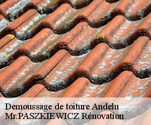 Demoussage de toiture  andelu-78770 Mr.PASZKIEWICZ Rénovation