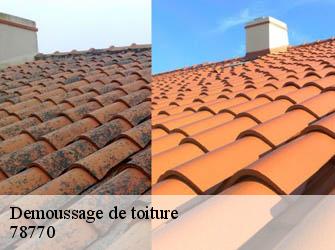 Demoussage de toiture  78770