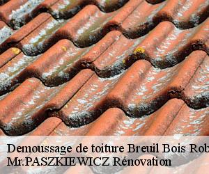 Demoussage de toiture  breuil-bois-robert-78930 Mr.PASZKIEWICZ Rénovation