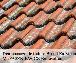 Demoussage de toiture  brueil-en-vexin-78440 Mr.PASZKIEWICZ Rénovation