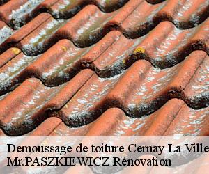 Demoussage de toiture  cernay-la-ville-78720 Mr.PASZKIEWICZ Rénovation