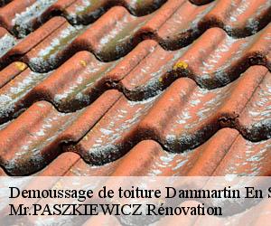 Demoussage de toiture  dammartin-en-serve-78111 Mr.PASZKIEWICZ Rénovation