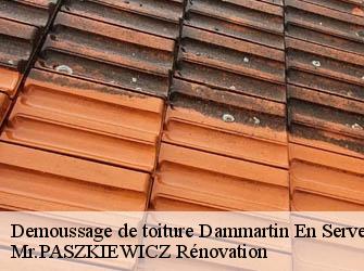 Demoussage de toiture  78111