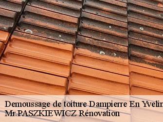 Demoussage de toiture  78720