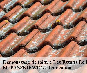 Demoussage de toiture  les-essarts-le-roi-78690 Mr.PASZKIEWICZ Rénovation