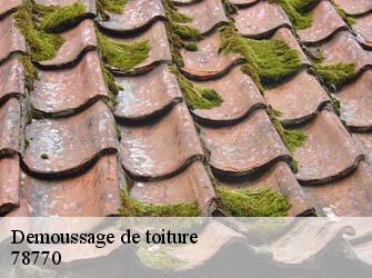 Demoussage de toiture  78770