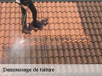 Demoussage de toiture