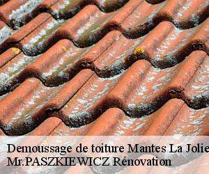 Demoussage de toiture  mantes-la-jolie-78200 Mr.PASZKIEWICZ Rénovation