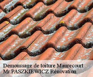 Demoussage de toiture  maurecourt-78780 Mr.PASZKIEWICZ Rénovation