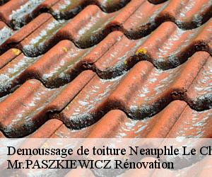 Demoussage de toiture  neauphle-le-chateau-78640 Mr.PASZKIEWICZ Rénovation