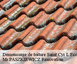 Demoussage de toiture  saint-cyr-l-ecole-78210 Mr.PASZKIEWICZ Rénovation