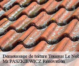 Demoussage de toiture  toussus-le-noble-78117 Mr.PASZKIEWICZ Rénovation