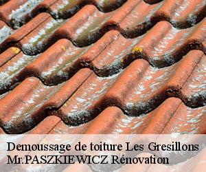 Demoussage de toiture  les-gresillons-78955 Mr.PASZKIEWICZ Rénovation