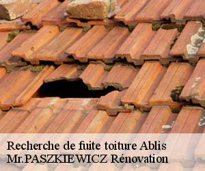 Recherche de fuite toiture  ablis-78660 Mr.PASZKIEWICZ Rénovation