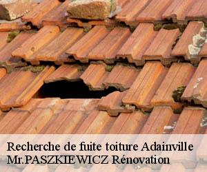 Recherche de fuite toiture  adainville-78113 Mr.PASZKIEWICZ Rénovation