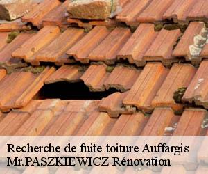 Recherche de fuite toiture  auffargis-78610 Mr.PASZKIEWICZ Rénovation