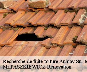 Recherche de fuite toiture  aulnay-sur-mauldre-78126 Mr.PASZKIEWICZ Rénovation