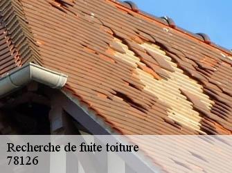 Recherche de fuite toiture  78126