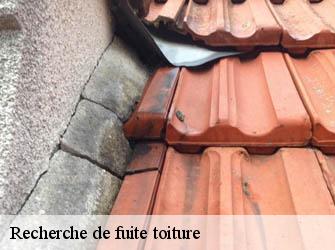 Recherche de fuite toiture  78126