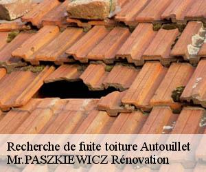 Recherche de fuite toiture  autouillet-78770 Mr.PASZKIEWICZ Rénovation