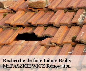 Recherche de fuite toiture  bailly-78870 Mr.PASZKIEWICZ Rénovation