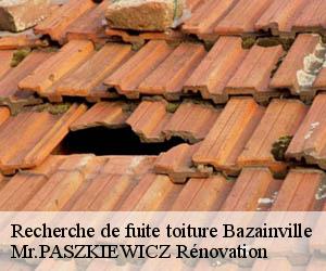 Recherche de fuite toiture  bazainville-78550 Mr.PASZKIEWICZ Rénovation