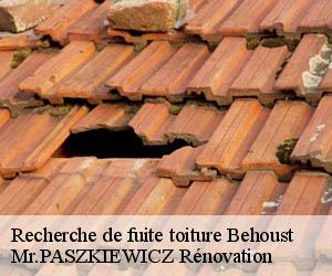 Recherche de fuite toiture  behoust-78910 Mr.PASZKIEWICZ Rénovation